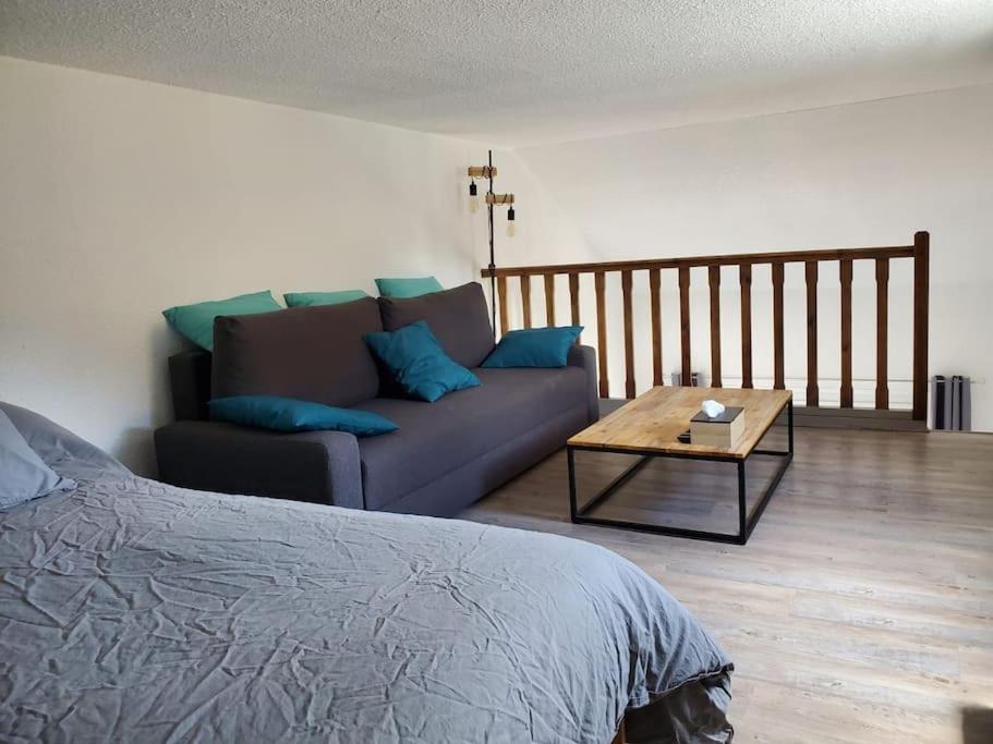 Appartement Chaleureux. Barcelonnette Kültér fotó